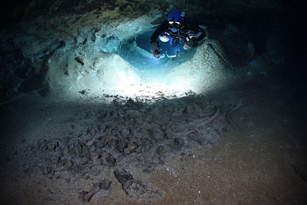 Cave Diving photo by Henning Andree alessandro reato